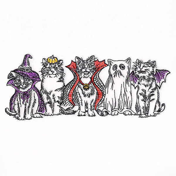 Happy Meow-lloween Cat Border