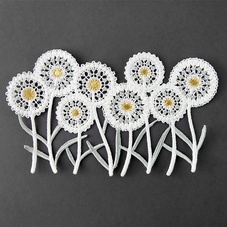 Delicate Dandelions Border (Lace)
