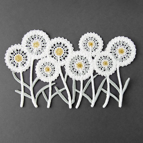 Delicate Dandelions Border (Lace)
