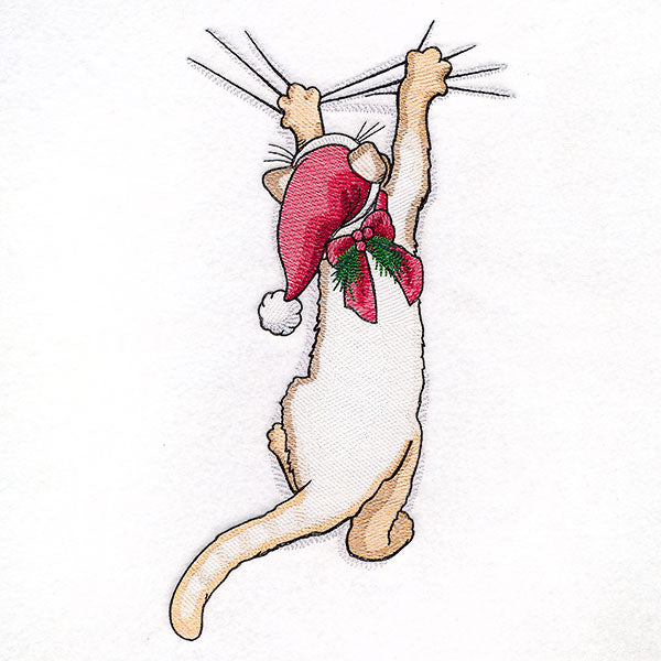 Hang in There Christmas Kitten