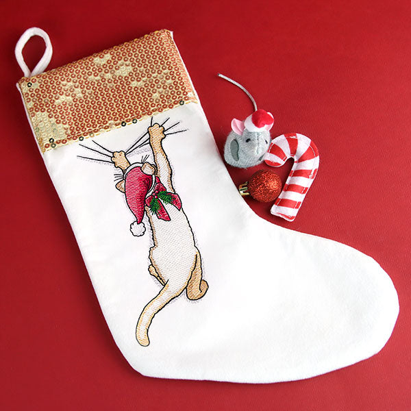 Hang in There Christmas Kitten