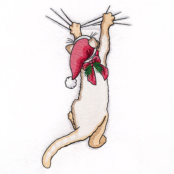 Hang in There Christmas Kitten