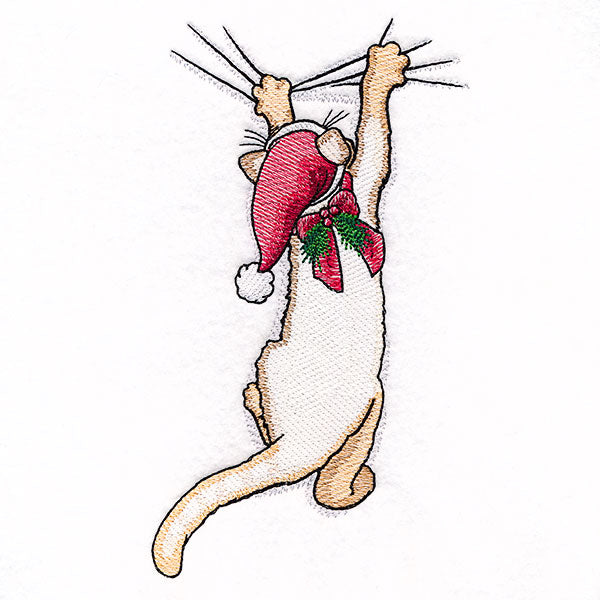 Hang in There Christmas Kitten