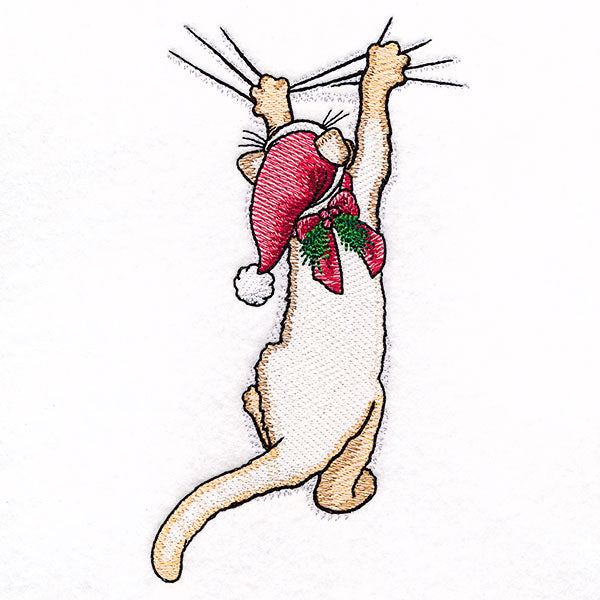 Hang in There Christmas Kitten