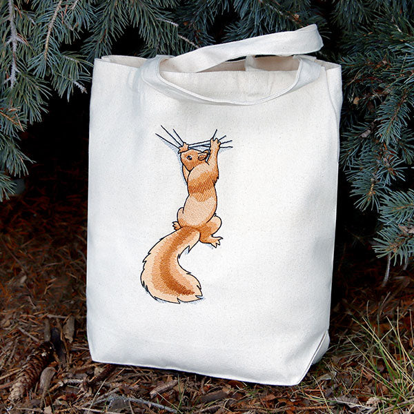 Hang in There Squirrel