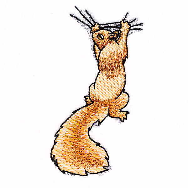 Hang in There Squirrel