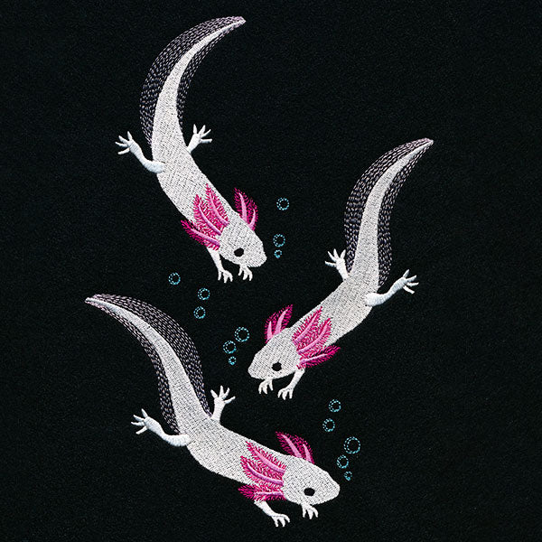 Swimming Axolotl Feature