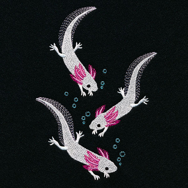 Swimming Axolotl Feature