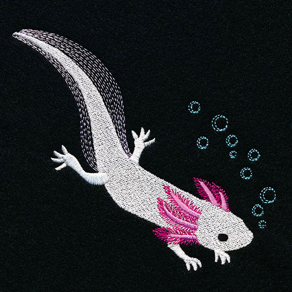 Swimming Axolotl Accent