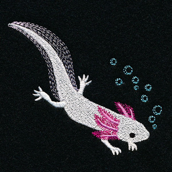 Swimming Axolotl Accent