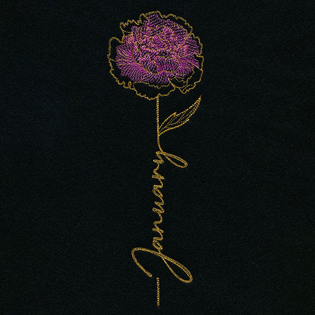 January Birth Flower - Carnation