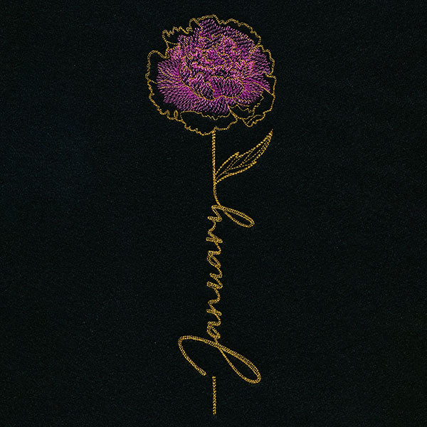 January Birth Flower - Carnation