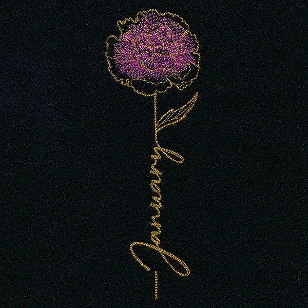 January Birth Flower - Carnation