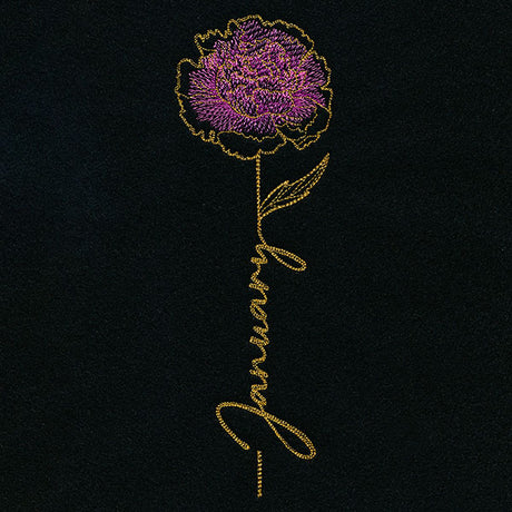 January Birth Flower - Carnation