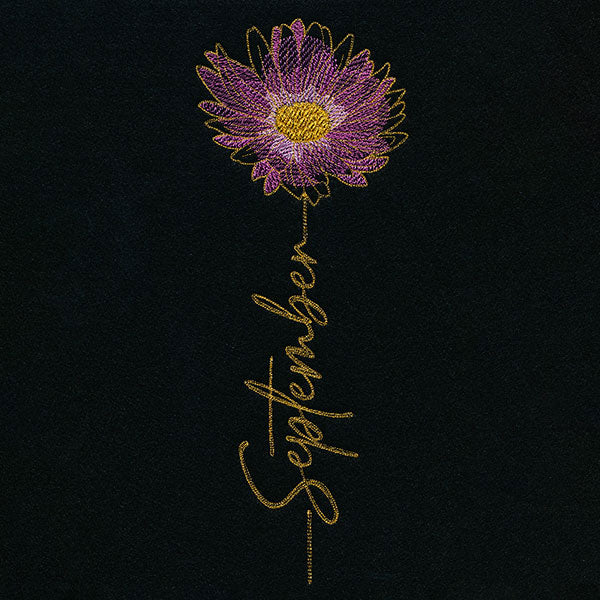 September Birth Flower - Aster
