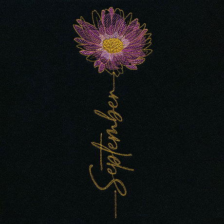 September Birth Flower - Aster
