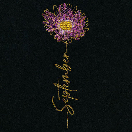 September Birth Flower - Aster