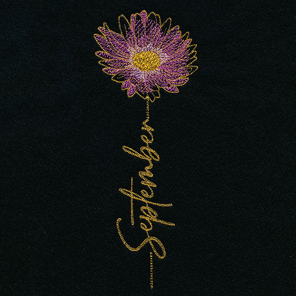 September Birth Flower - Aster