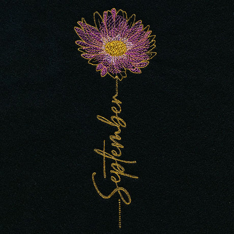 September Birth Flower - Aster