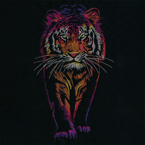 Rainbows & Mystery Tiger