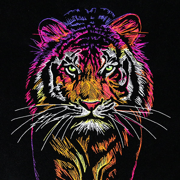 Rainbows & Mystery Tiger