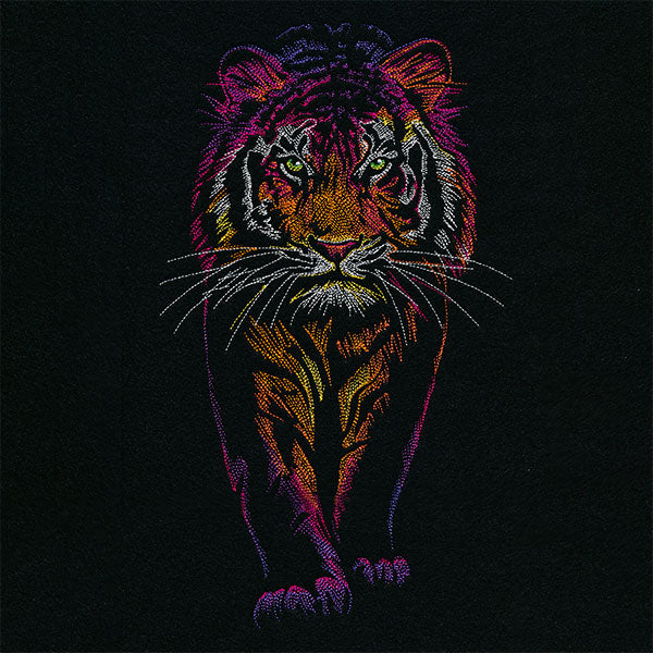 Rainbows & Mystery Tiger