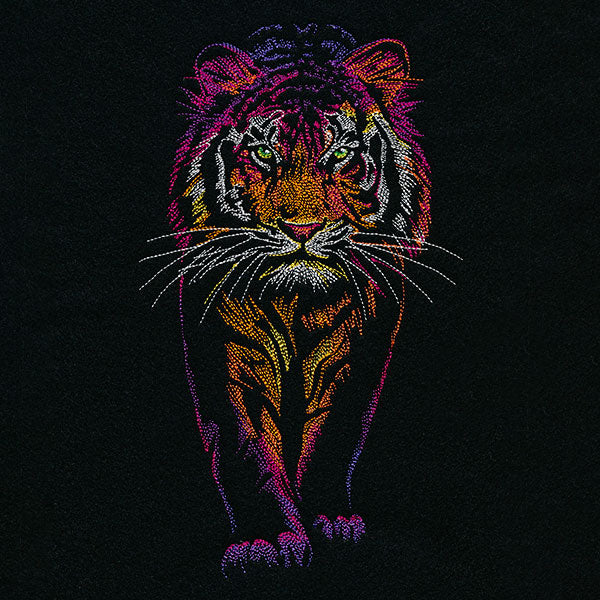 Rainbows & Mystery Tiger