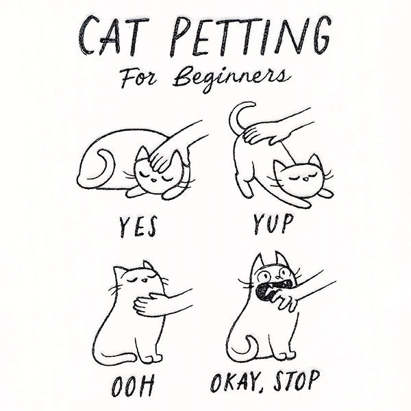 Cat Petting Guide