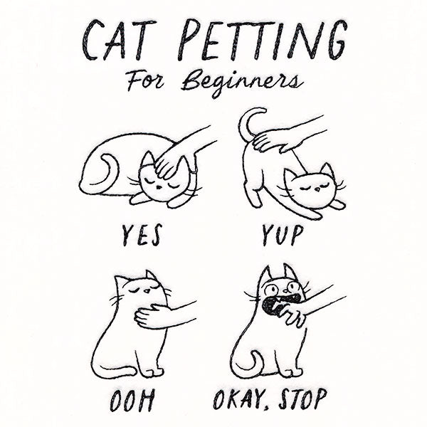Cat Petting Guide
