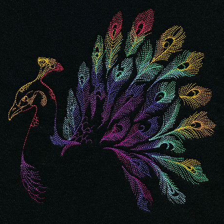 Rainbow Peacock