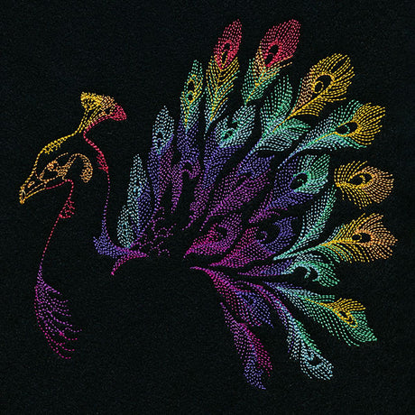 Rainbow Peacock