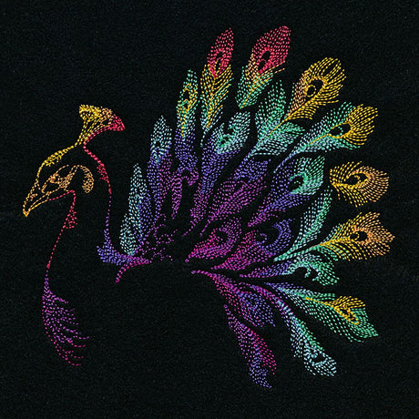 Rainbow Peacock