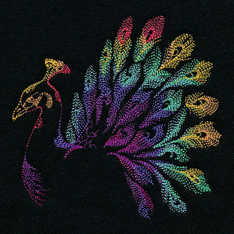 Rainbow Peacock