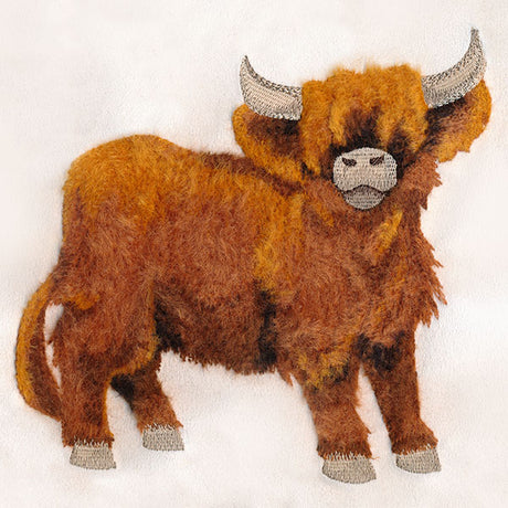 Brushed Highland Cow