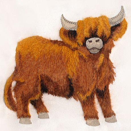 Brushed Highland Cow