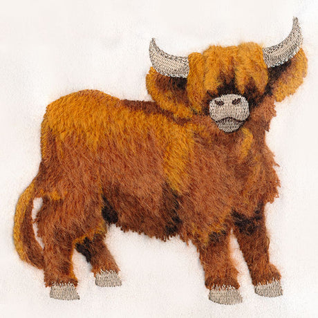 Brushed Highland Cow