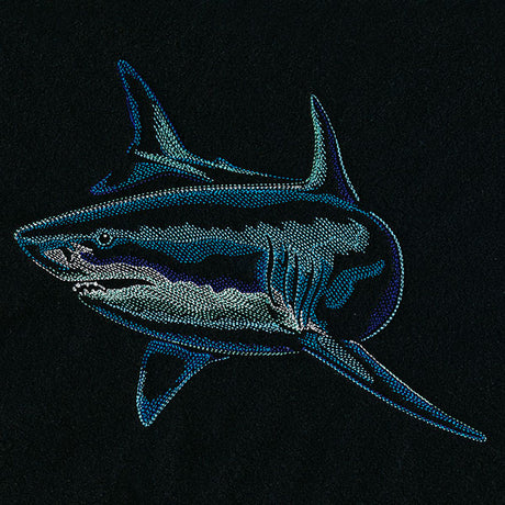 Emerging Shark