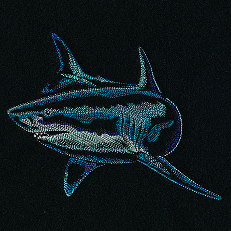 Emerging Shark