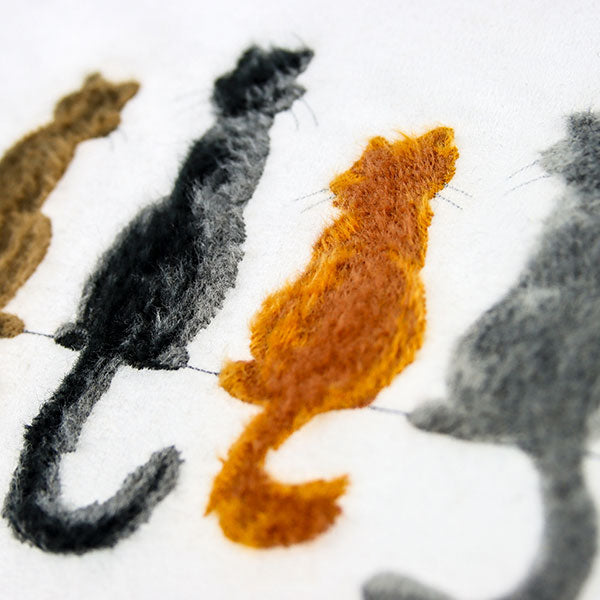 Brushed Kitty Border