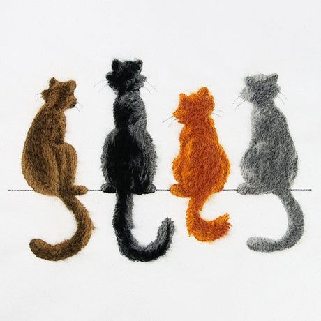 Brushed Kitty Border