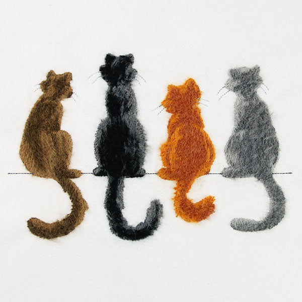 Brushed Kitty Border