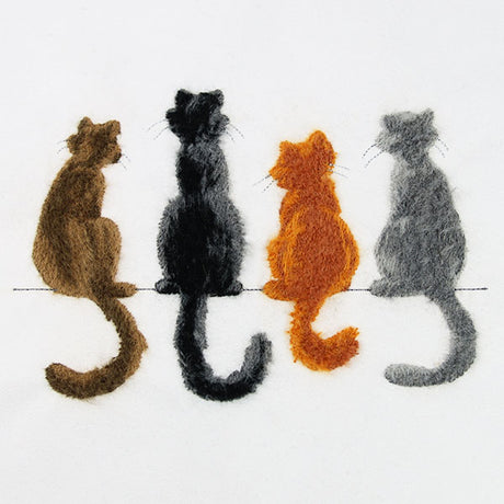 Brushed Kitty Border