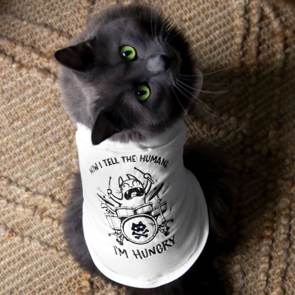 How I Tell The Humans Cat