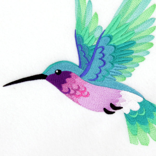 Ombre Hummingbird in Flight