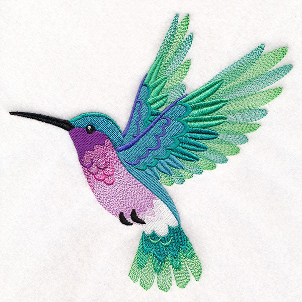 Ombre Hummingbird in Flight