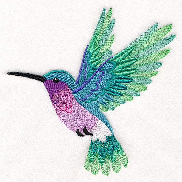 Ombre Hummingbird in Flight