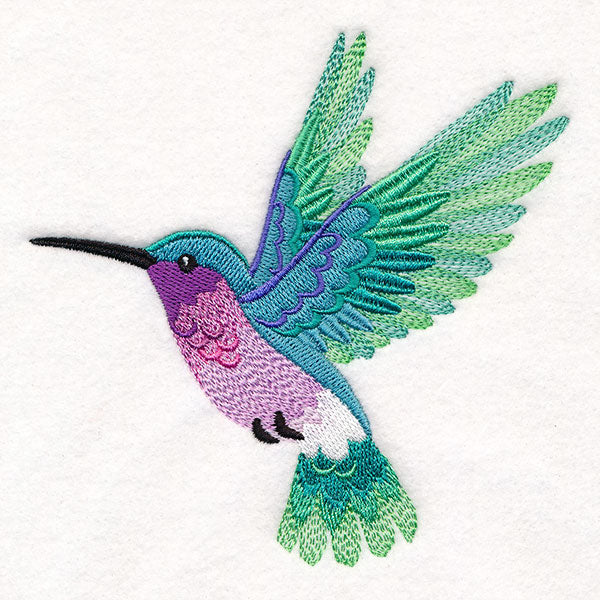 Ombre Hummingbird in Flight