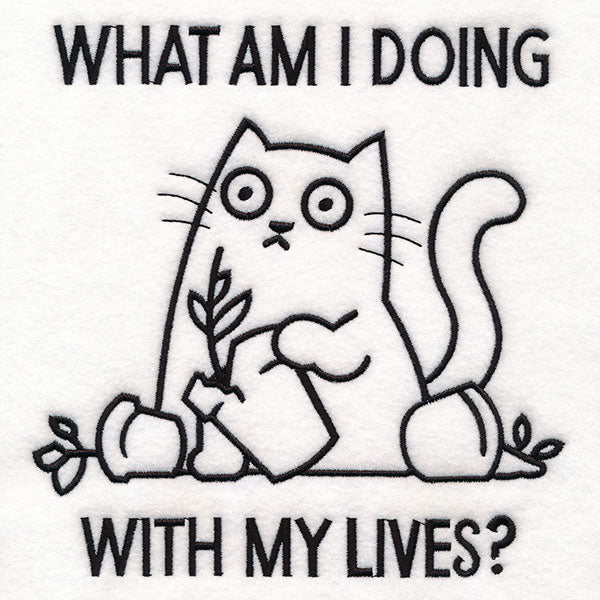 What Am I Doing Cat