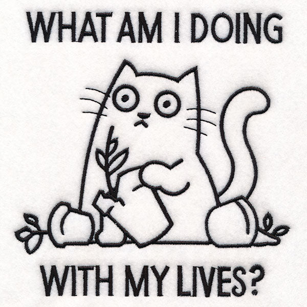 What Am I Doing Cat