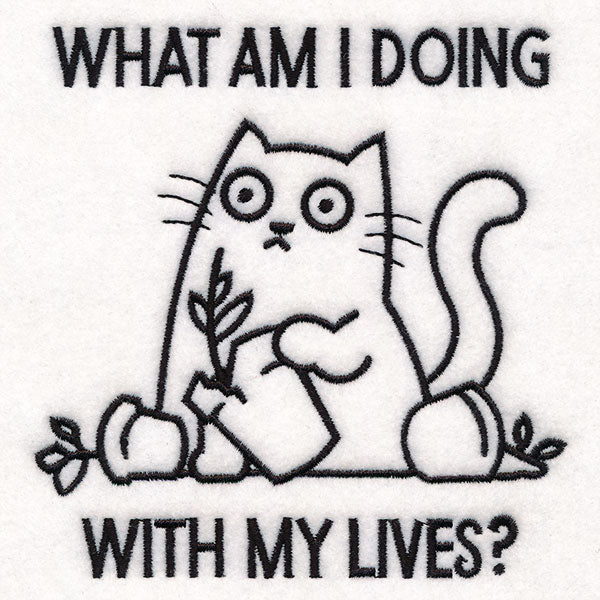 What Am I Doing Cat